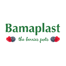 Logo BAMAPLAST