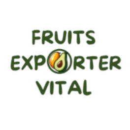 Logo FRUITS EXPORTER VITAL SL