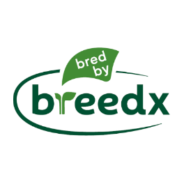 Logo BREEDX ESPAÑA