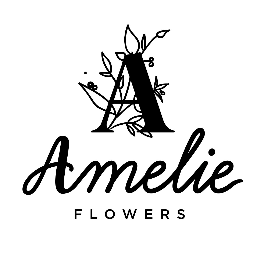 Logo AMELIE FRUITS