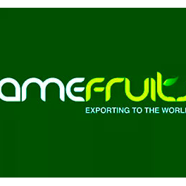 Logo AMEFRUITS