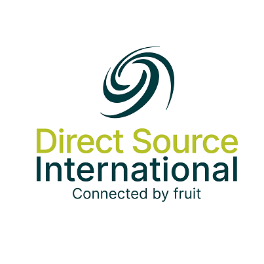 Logo DIRECT SOURCE INTERNATIONAL