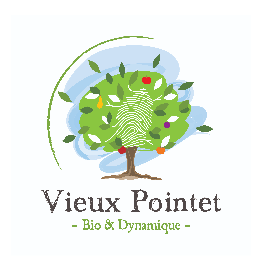 Logo VIEUX POINTET