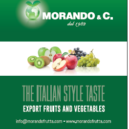 Logo MORANDO & C. SRL