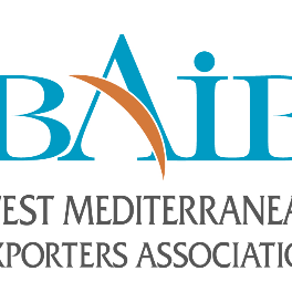 Logo BAIB