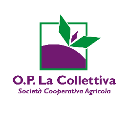 Logo LA COLLETTIVA SOC. COOP.AGRICOLA