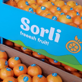 Logo SORLI FREEESH FRUIT
