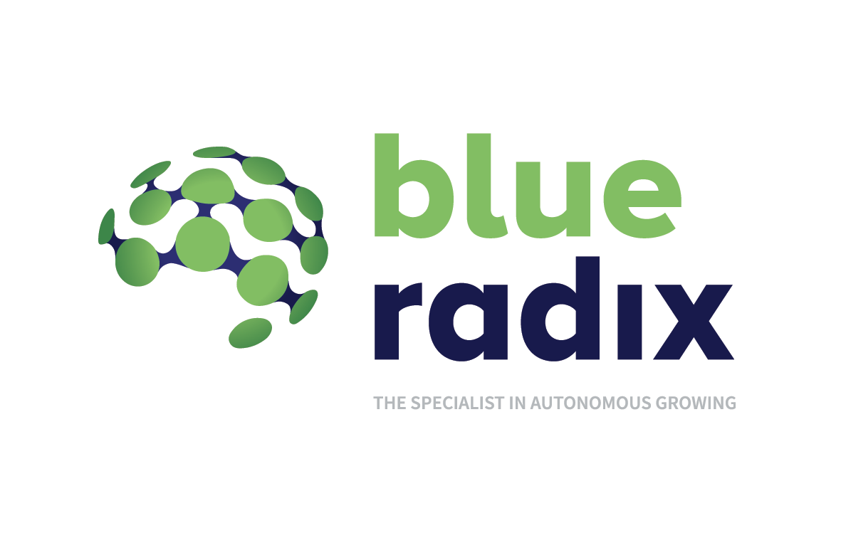 Logo Blue Radix B.V.