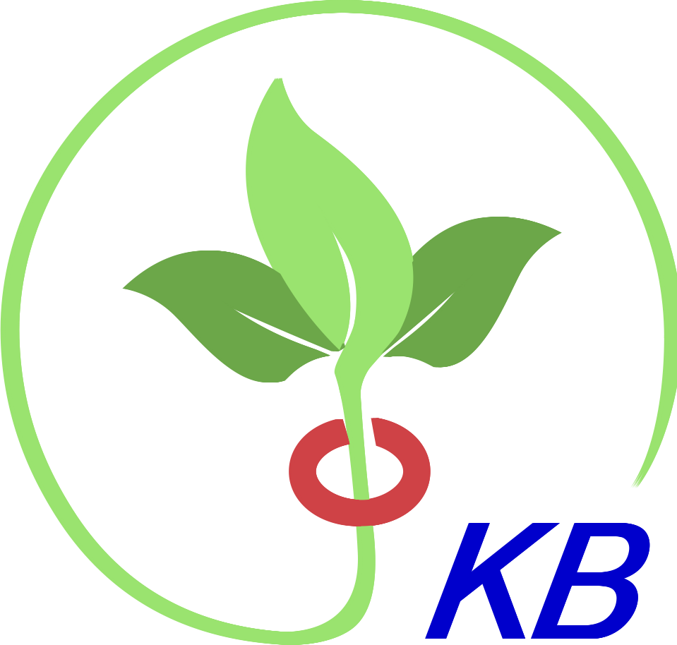 Logo Shenzhen KB Tech Co., Ltd.