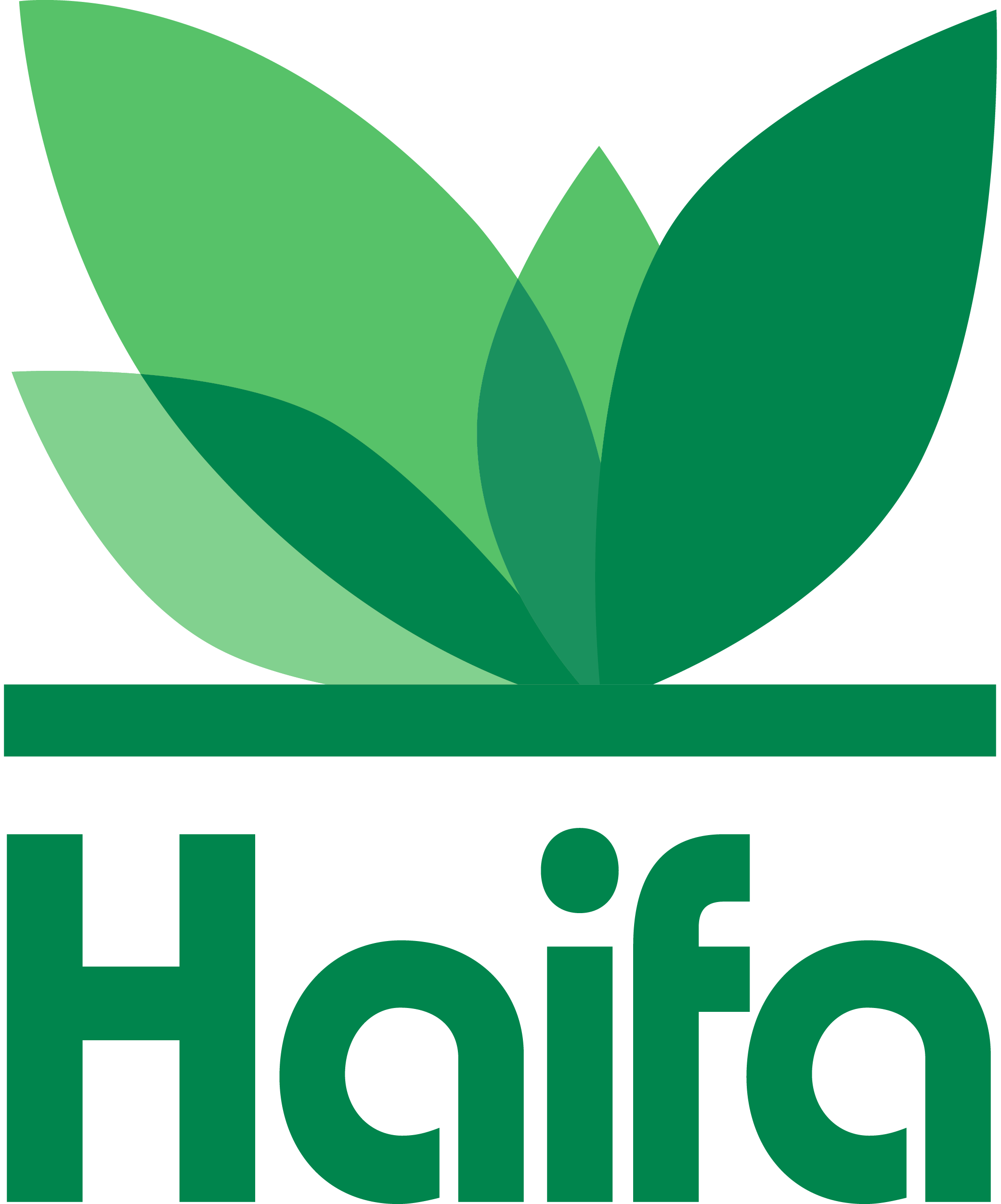 Logo HAIFA MEXICO
