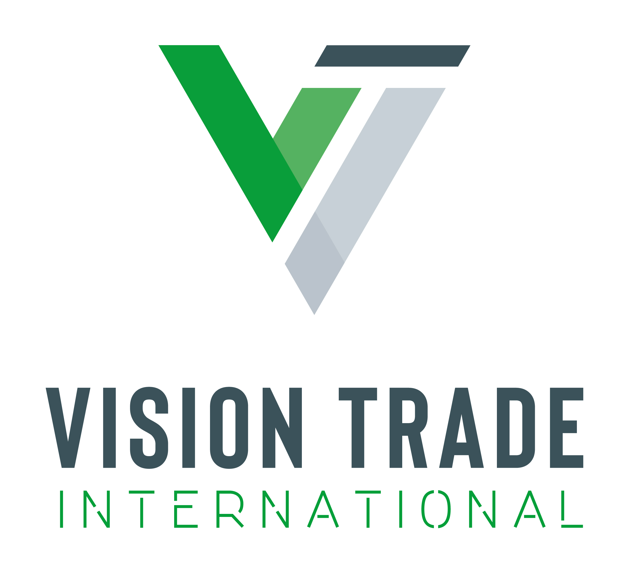 Logo Vision Trade International, S.A. De C.V.