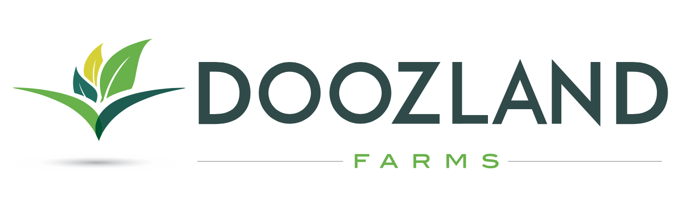 Logo Doozland, LLC