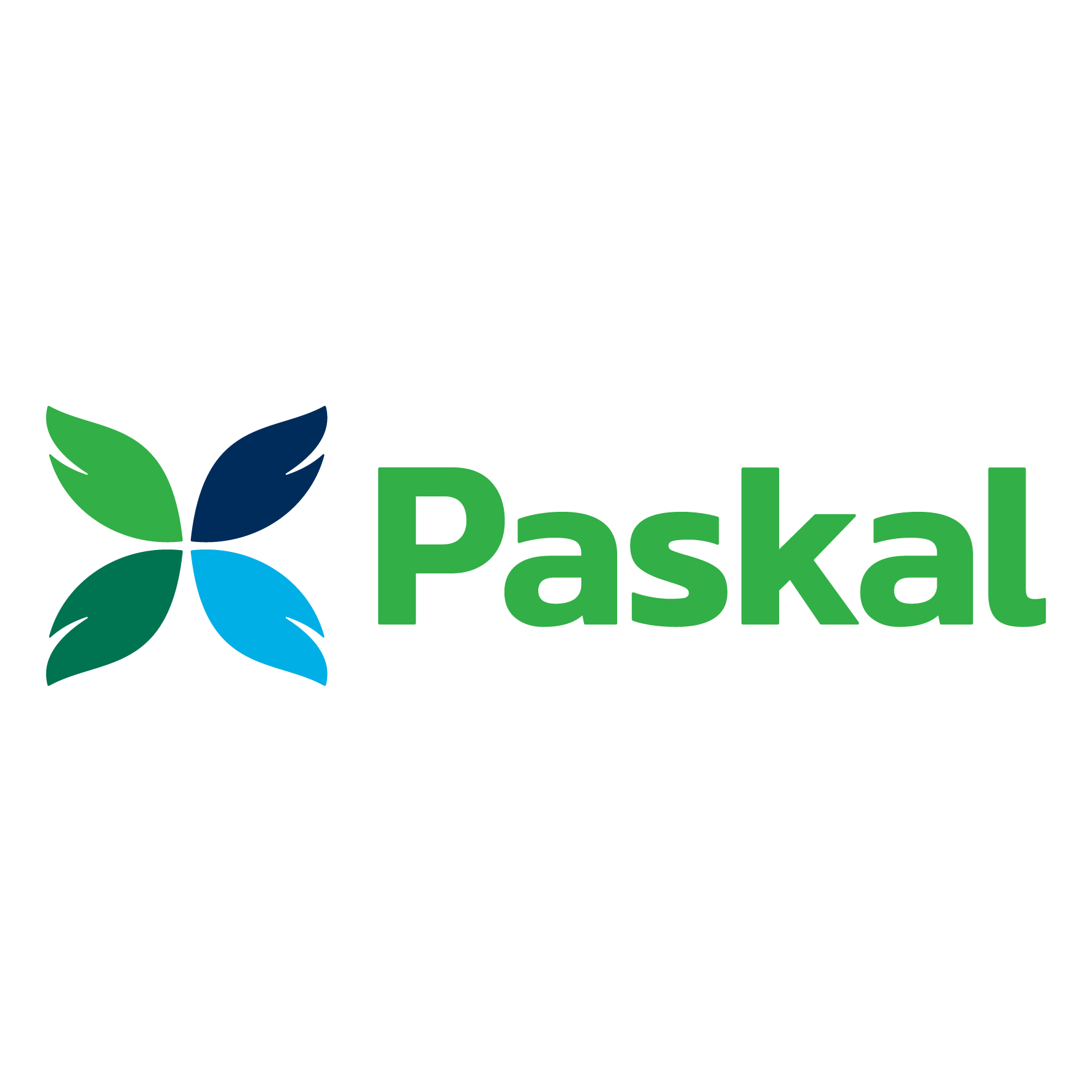 Logo Paskal Technologies México S.A. DE C.V.