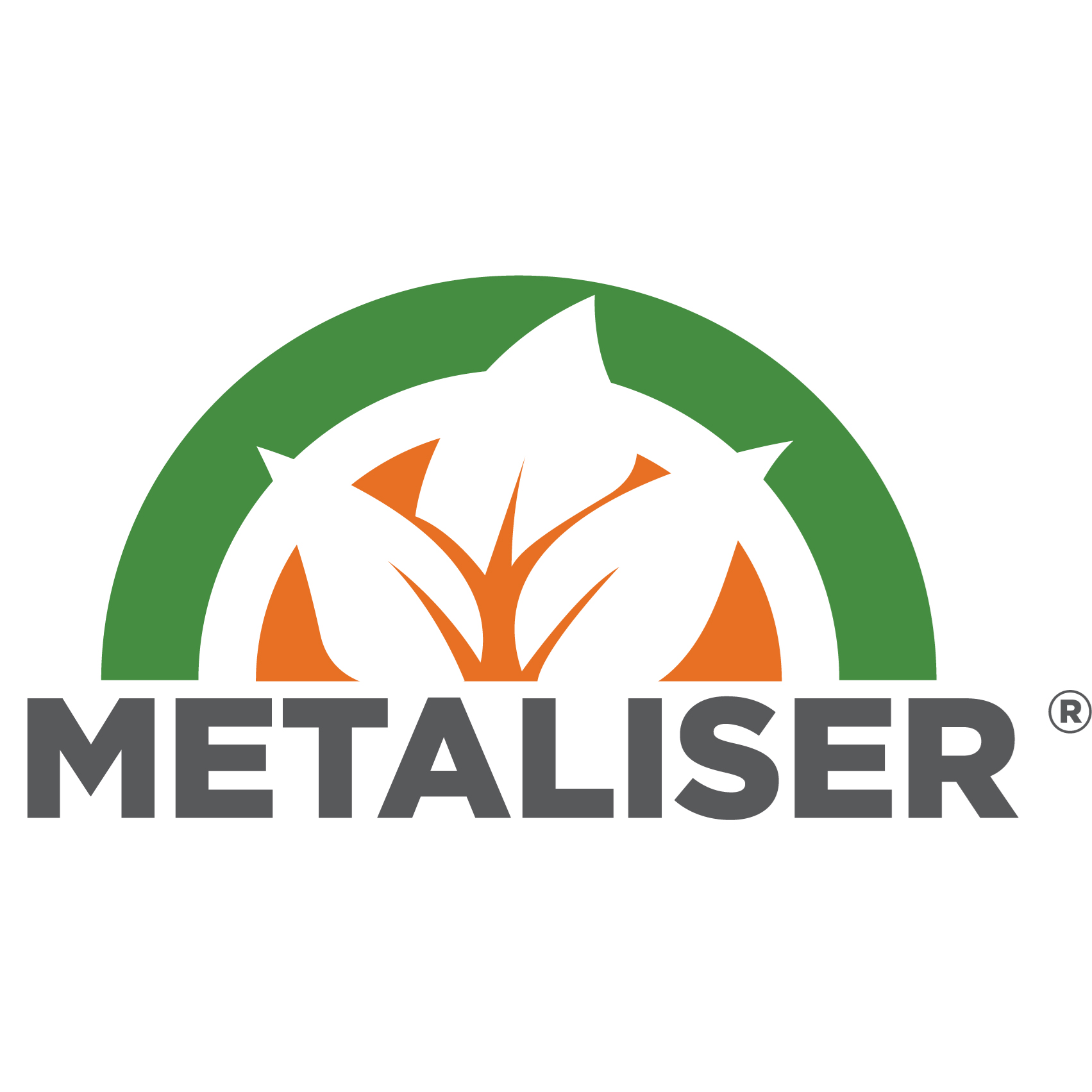 Logo Metaliser