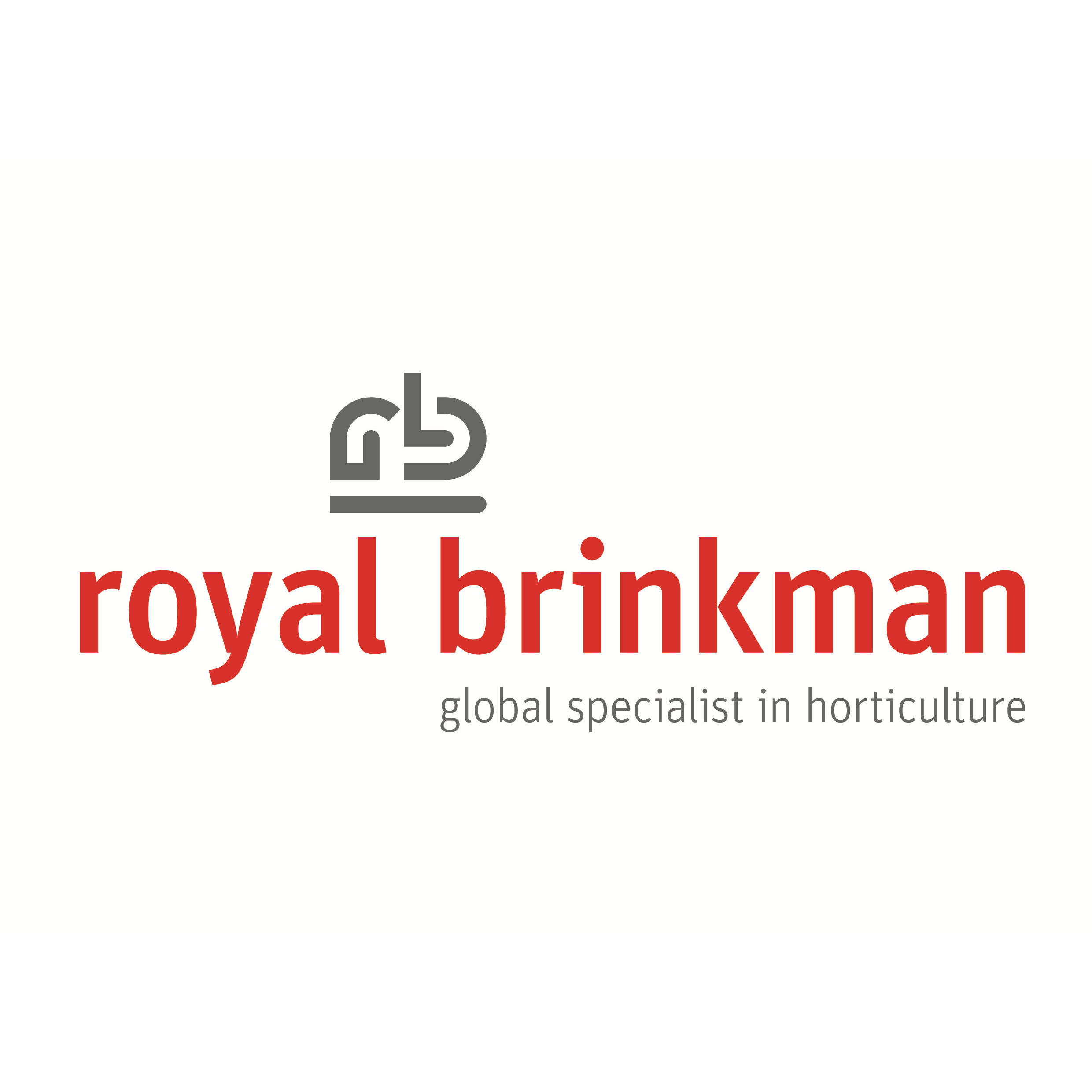 Logo ROYAL BRINKMAN MEXICO
