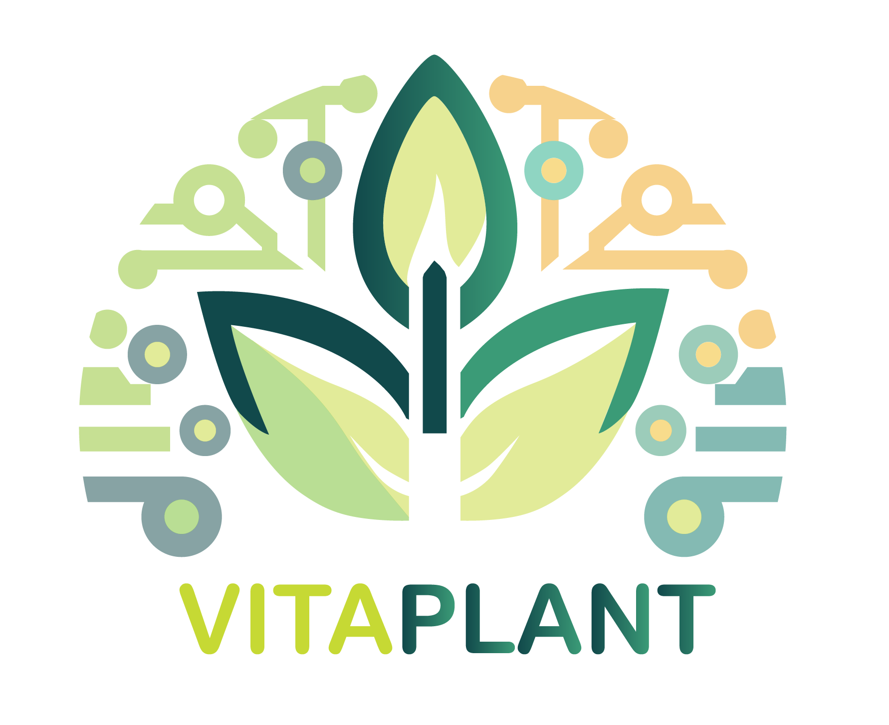 Logo VITAPLANT