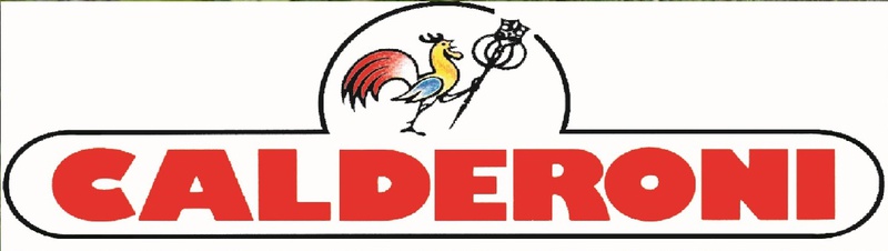 Logo CALDERONI Rolando & C. Snc