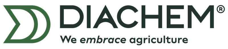 Logo DIACHEM SPA