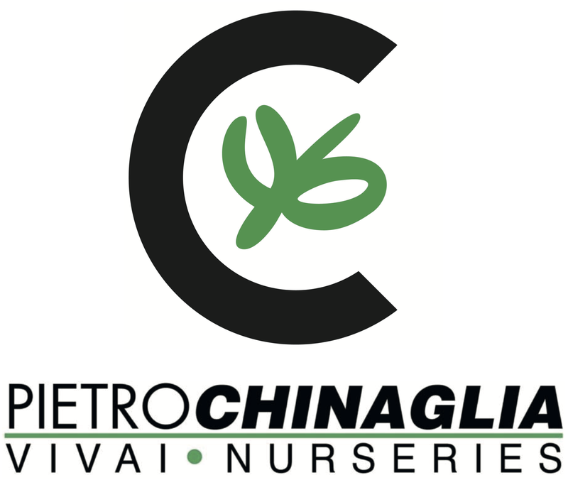 Logo PIETRO CHINAGLIA VIVAI SS