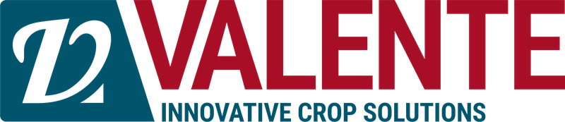 Logo VALENTE SRL